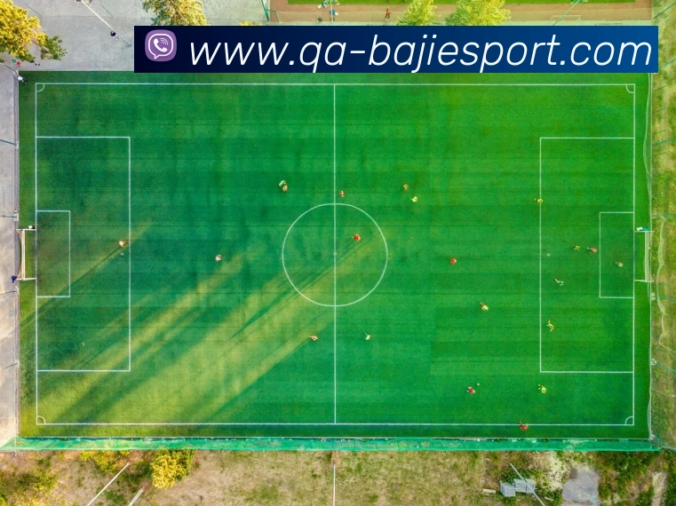 多媒体互动体验